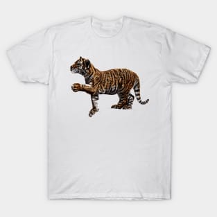 Amur tiger cub illustration T-Shirt